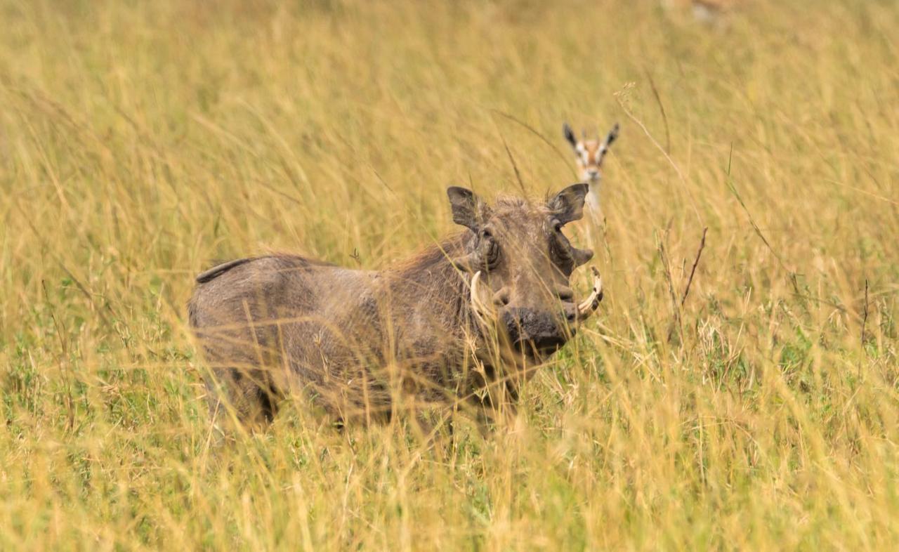 Ngorongoro Lodge Member Of Melia Collection - The Leading Hotels Of The World Exterior foto