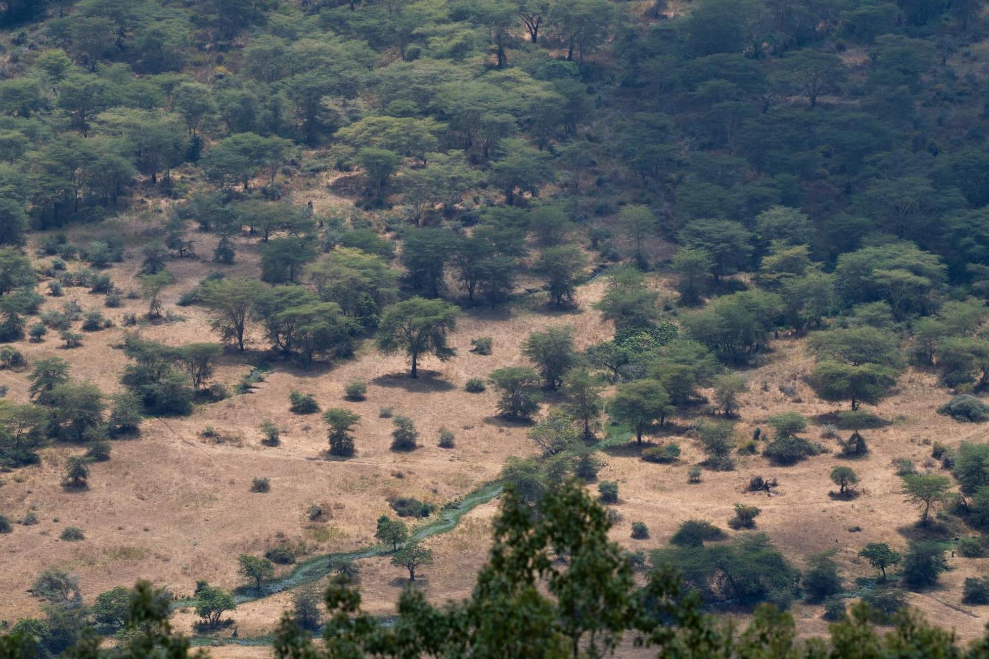 Ngorongoro Lodge Member Of Melia Collection - The Leading Hotels Of The World Exterior foto